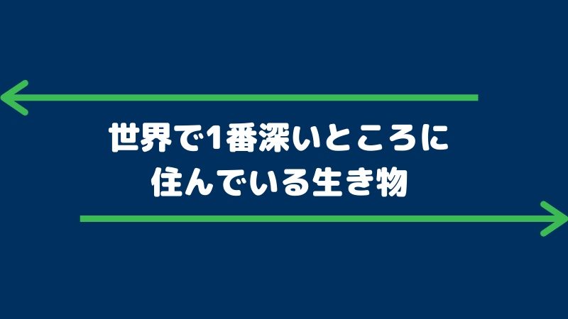 深海魚 世界一深い場所に住む深海の生き物