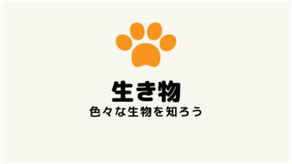 原爆の父 オッペンハイマーの真実 後悔の日々と残した名言集