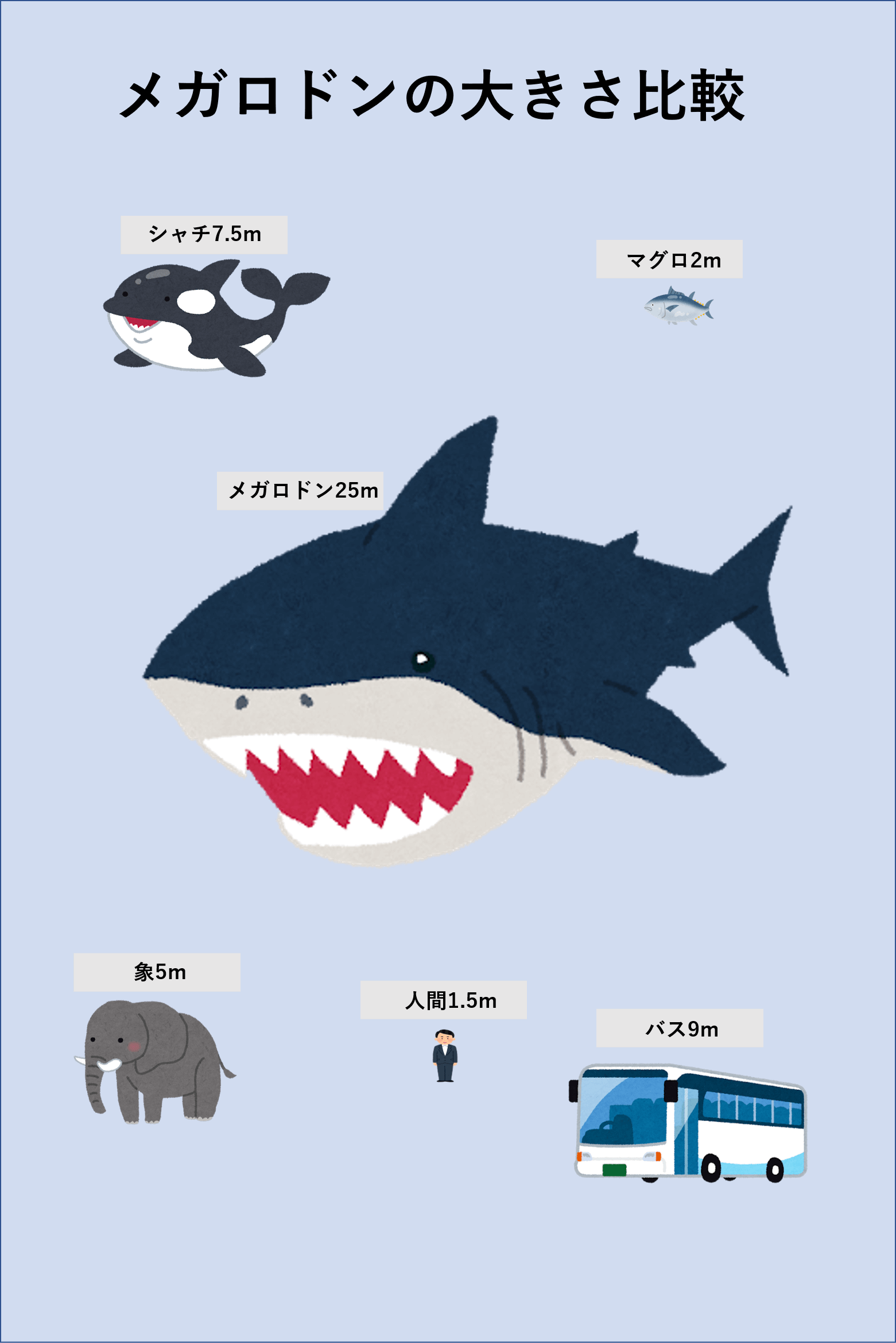 巨大サメのメガロドンは実在する 大きさ 特徴 目撃情報を紹介